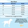 ShawnCo Dream Walk No-Pull Dog Harness- Adjustable, Comfortable, Easy to