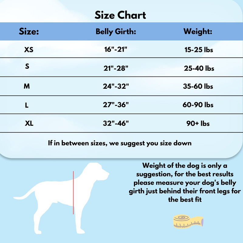 ShawnCo Dream Walk No-Pull Dog Harness- Adjustable, Comfortable, Easy to