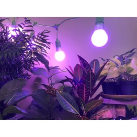 Miracle LED Almost Free Energy Greenhouse in a Box Grow Light Kit for Indoor Plants - 150W Red & Blue Spectrum Yield Bulbs & 4-Socket Corded Grow Light Fixture, 601761