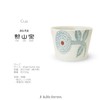 J-kitchens Tea Cup with Soba Boar, Hasamiyaki, Made in Japan,