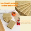 10 pcs Kitchen Sponges, Natural Sponge for Dishes, Natural sisal