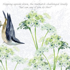Tuppence A Bag Nuthatch Upside Down Bird Themed Bird Art Greeting Card Blank TAB08