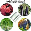 100Pcs Stake Arms for Tomato Cage, 11.8 inch Tomato Stake