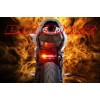 Bikelitez Honda CBR 600RR 07 08 09 10 11 12
