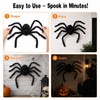 Halloween Skull & Hands Decoration for Home & Yard –