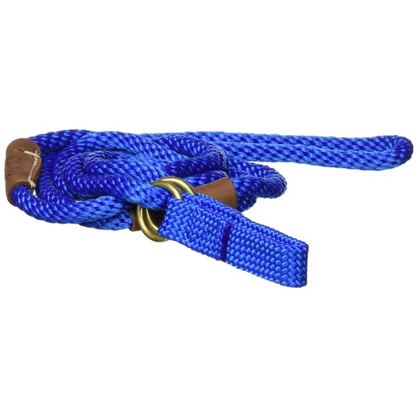 Mendota Pet Dog Walker, Martingale Style Leash - Leash & Collar Combo, Made in The USA - Blue, 3/8 in x 4 ft - for Small/Medium Breeds