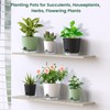 Meowell 4 inch Self Watering Pots for Indoor Plants, 5