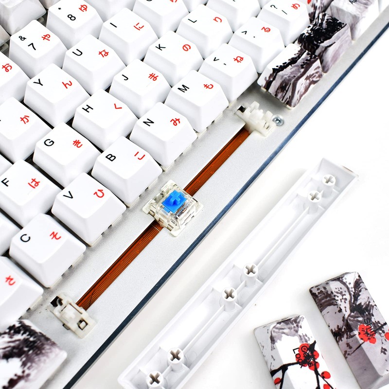 MOLGRIA Keycaps 110 Set for Full Size Mechanical Keyboard, Custom