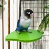 Bird Perch Stand for Cage | Parrot Perch Standing Toy