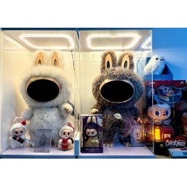 Acrylic Display Case with LED Light Top for Collectibles