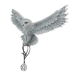 Veronese Design Anne Stokes Awaken Your Magic Snowy Owl with Pentagram Pendant Wall Sculpture