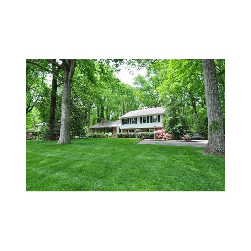 Five Star Tall Fescue Grass Seed Blend (5 Lbs.)