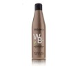 Salerm Shampoo Cabellos Blancos 500ml Con Extracto De Bambú