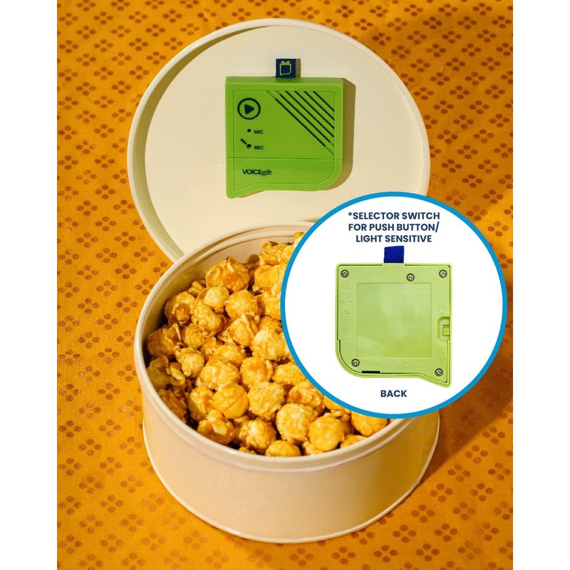 VoiceGift Voice-Over® 60 Second Voice Recorder Insert for Personal Messages,