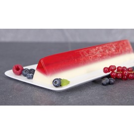 Staedter Triangle Pastry and Terrine Mould, Stainless Steel Silver, 30 x 6 x 6 cm