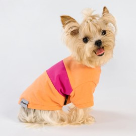 Fitwarm 3 Pack Color Block Striped Dog Shirt, Summer Dog Clothes for Small Dogs, Breathable Lightweight Dog Tshirt, Pet Outfit, Pink, Orange, Purple, XXL