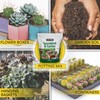 Harris Premium Succulent and Cactus Potting Soil Mix, Fast Draining