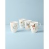 Lenox Butterfly Meadow 4-Piece Mug Set, 2.44, Multi