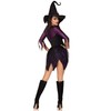 LEG AVENUE Mystical Witch Costume Set, Large