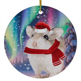 Funny Roborovski Dwarf Hamster Christmas Ornament 2025 Ceramic Circle White - Festive Winter Northern Lights Holiday Xmas Tree Hanging Decoration Gifts for Hamster Lovers