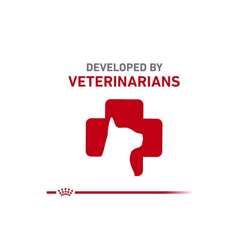 Royal Canin Feline Satiety Support - Comida seca para gatos