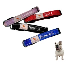 Vulpez Collar Perro Personalizable Ajustable Colores Gato