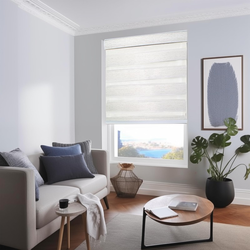 CHICOLOGY Zebra Blinds, Roller Window Shades, Blinds for Windows, Roller