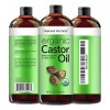 Aceite De Ricino Orgánico Natural Riches - Prensado En Frío,