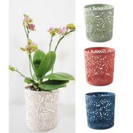 RISEON Set of 4 Plastic Orchid Pots with Holes-Small Orchid Planter Decorative Orchid Pot Leaf Hollow for Dendrobium Oncidium Cattleya Repotting Indoor Outdoor