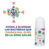 Desodorante Natural Unisex Para Niños - Kids 4 Roll On