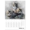 Maine Coon Katzen (Wandkalender 2026 DIN A2 hoch), CALVENDO Monatskalender: