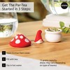 Tea Infuser