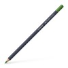 Faber-Castell Creative Studio Goldfaber Colour Pencil, (167), Grass Green, Single