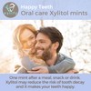 Xylitol Mints for Oral Care - Wild Berries flavor, 100%