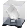 UNIX BX77-20 Memorial Club (White x White)