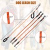 Dual Leash - Exceptional 360 Anti-Tangle & No Pull Leash