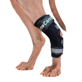 Ortocanis Hock splint brace for dogs- immobilises, protects, supports the ankle - removable flexible splints.