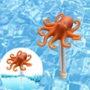 Floating Pool Thermometer for Water Temperature Thermometer for Swimming Pool