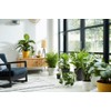 elho B.For Original Round 14cm Flower Pot - White