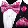 Branduce Paisley Pre-tied Bow Tie and Pocket Square Lapel Pin