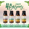 Herbolare - Paquete los 4 básicos 5 ml. Lavanda, Eucalipto,