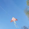 Cartoon Kite Durable Exquisite Triangle Colorful Kite Easy Fly Beginner