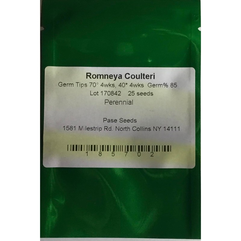 Romneya Coulteri Perennial Seeds