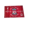Stormflag Liverpool FLag 3x5ft flag of Liverpool 90x150cm Satin Polyester