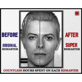 Masters of Fate David Bowie Front And Side Celebrity Mugshot Poster Remastered Print Digital Painting 4MUG (11X14)