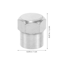 Ciieeo 20Pcs Stainless Steel Tire Valve Stem Caps Durable and Reliable Valve Caps for Automobile Easy Installation Dust Protection for Cars and Bicycles