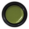 PRE GEL Color EX Khaki Neo 0.1 oz (3 g)