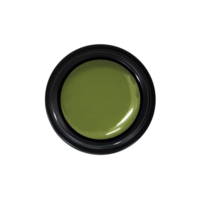 PRE GEL Color EX Khaki Neo 0.1 oz (3 g)
