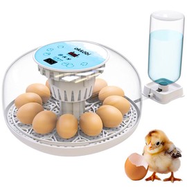 M12 | Egg Incubator With Automatic Turning And Humidity Control - 12/24 Eggs  360° View Easy To Use Clean Incubators For Hatching Incubadora De Huevos Gallina