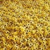 Wuyuan Yellow Chrysanthemum Tea 3.52 oz Huangju Dried Chrysanthemum Flowers